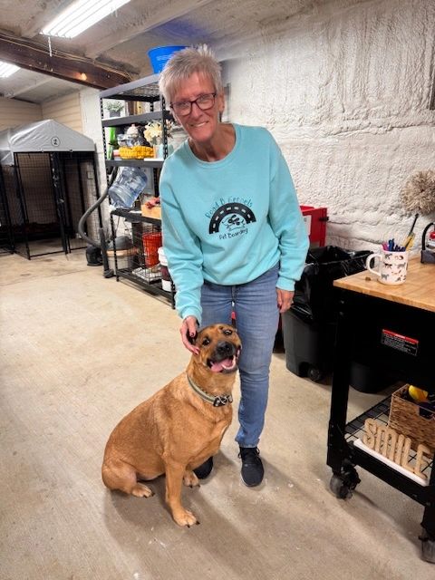 Woman in blue sweater petting a happy brown dog indoors.